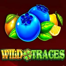 Wild Traces slot visual from Amusnet Interactive available on efbets.eu